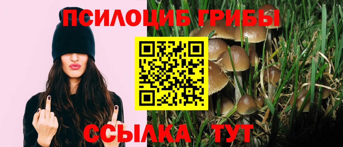 Галлюциногенные грибы Cubensis Бийск