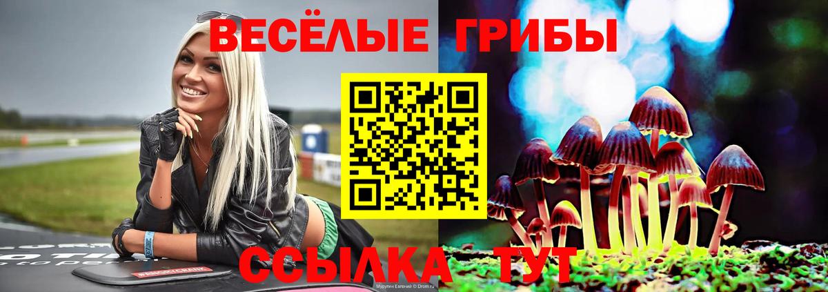 Галлюциногенные грибы мицелий  Галлюциногенные грибы Psilocybine cubensis  Бийск  закладка  Вход с VPN 