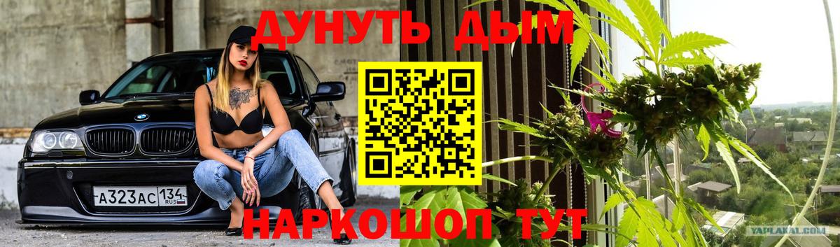 Конопля гибрид  Каннабис семена  Бийск  Вход с VPN  Каннабис ГИДРОПОН 